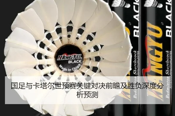 国足与卡塔尔世预赛关键对决前瞻及胜负深度分析预测