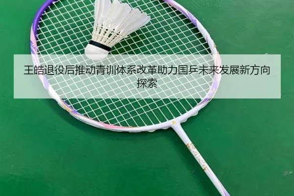 王皓退役后推动青训体系改革助力国乒未来发展新方向探索